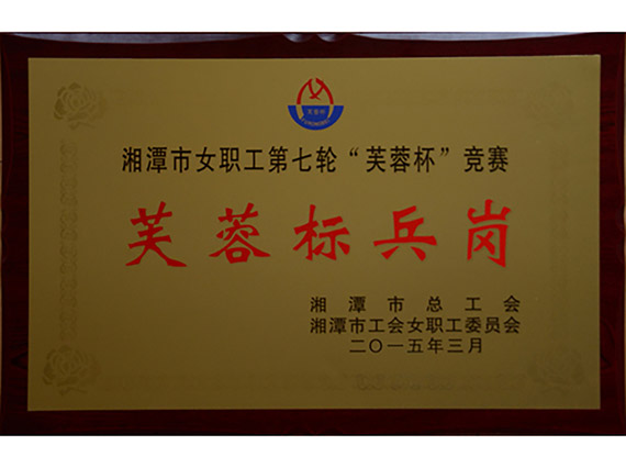 熱烈祝賀【韶山恒旺】榮獲&ldquo;湘潭市芙蓉標(biāo)兵崗&rdquo;稱號(hào)！
